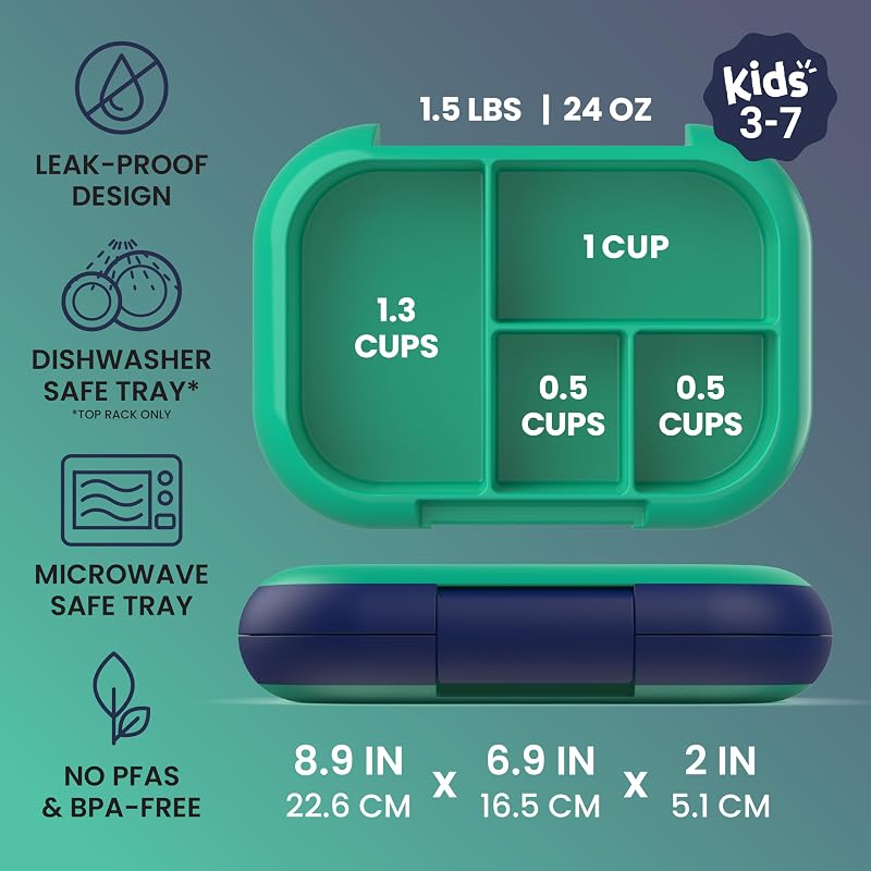 Feature infographic example: lunch box feature callouts with dimensions